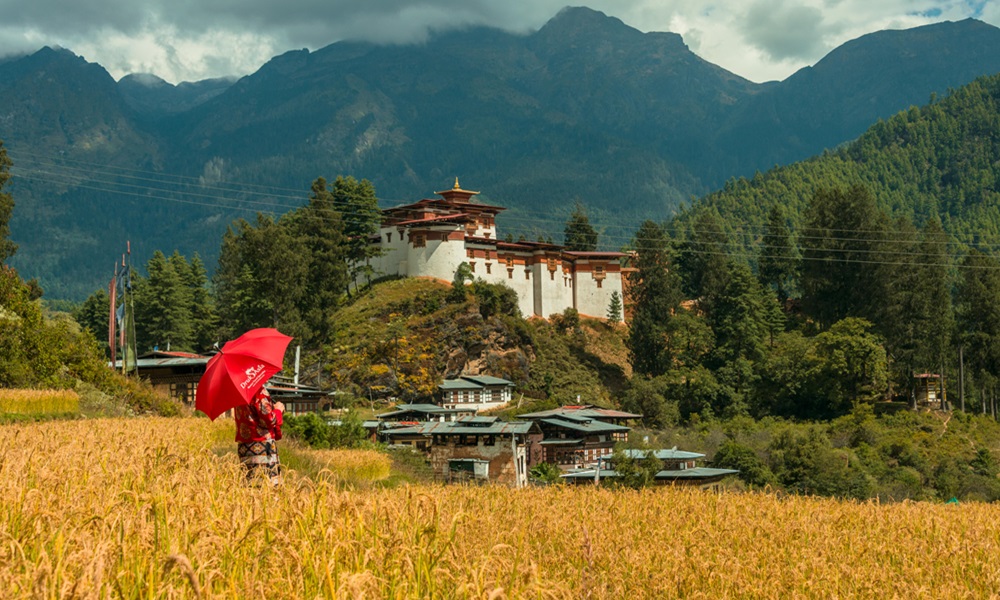 Travel to Bhutan